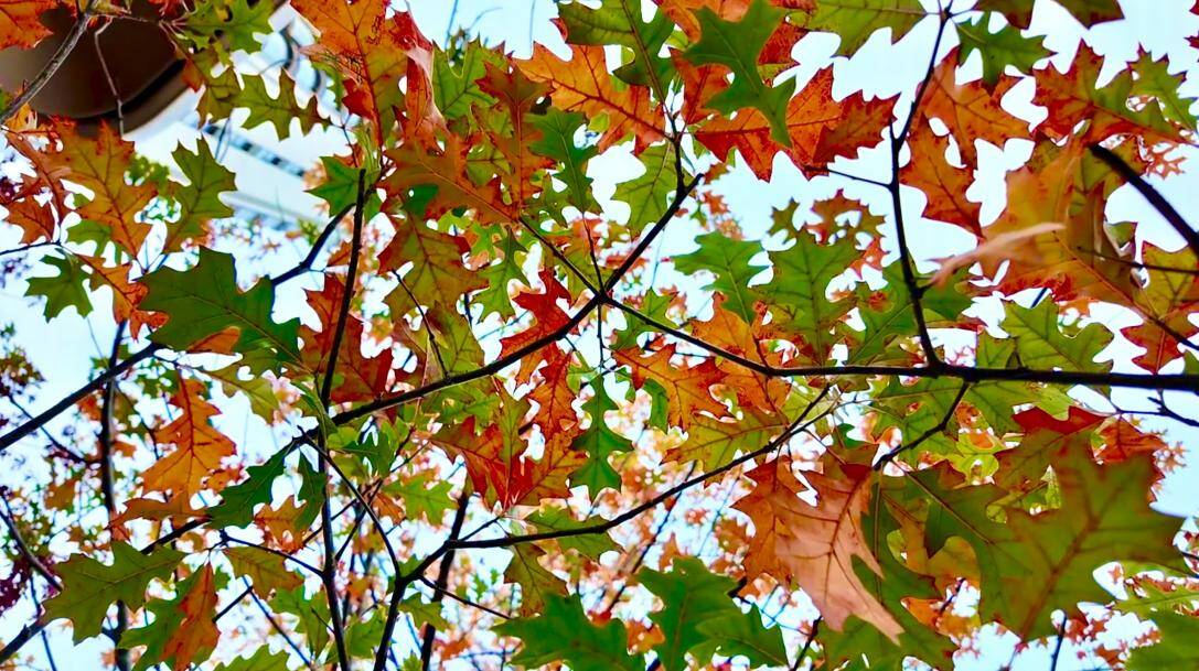 济南宏宇路南延首开段竣工 未来直通工业南路