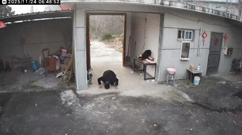 让人泪目！“80后”男子跪别已无亲人的老宅