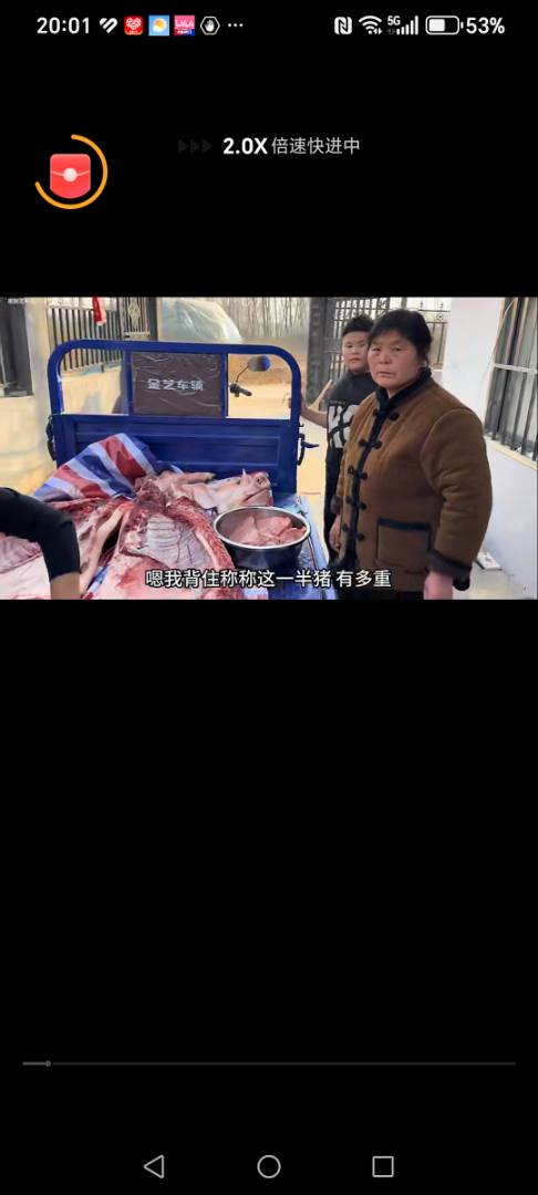 最伟大的婆婆是什么样的