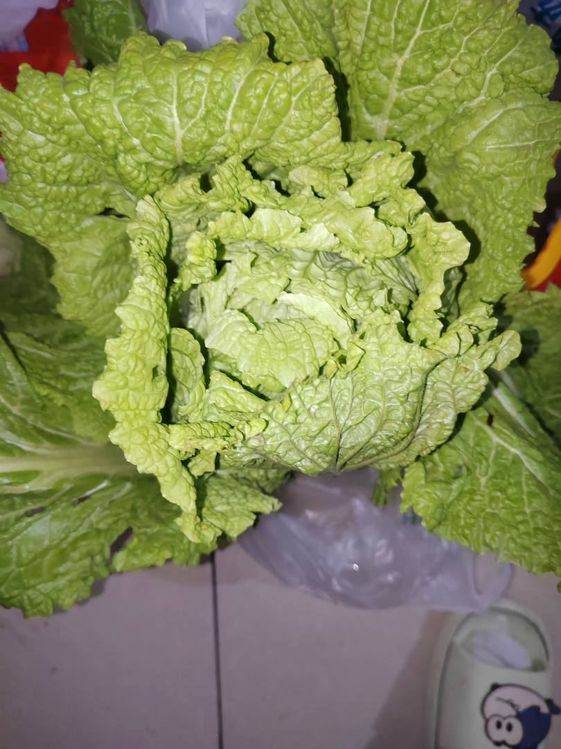 乡镇上的物价真便宜