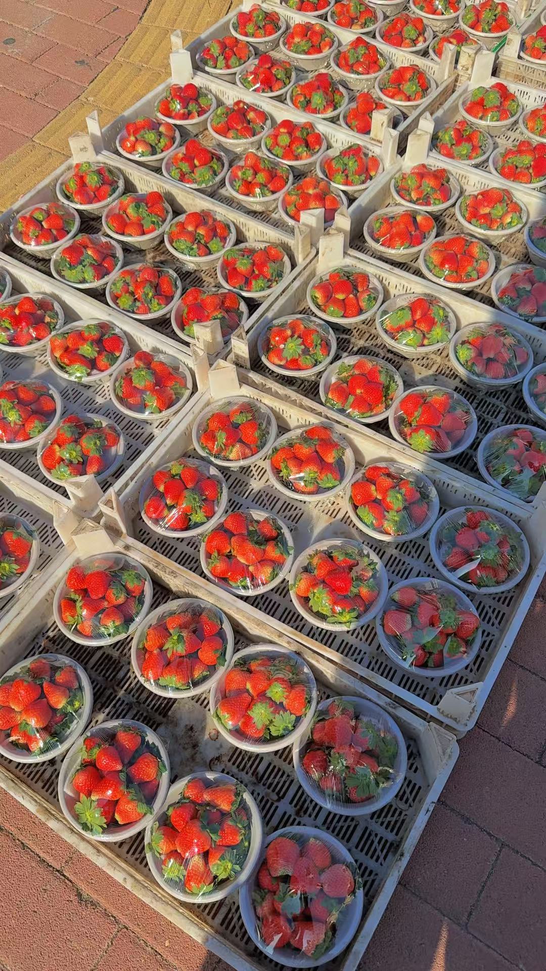 征信不好到底能不能当兵啊