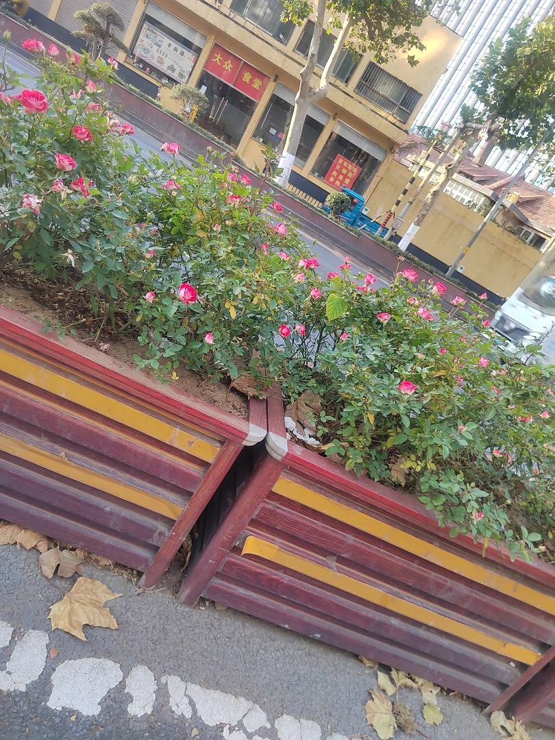 开网约车品百味人生