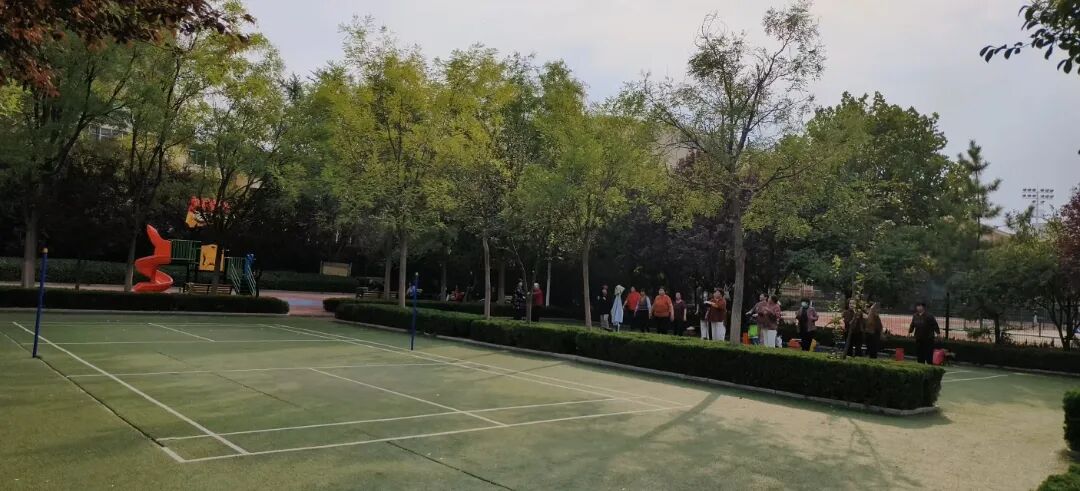 济南市首届星级共享绿地评选结果揭晓