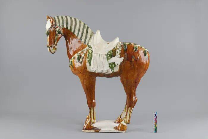 54件唐三彩修复完成 创山东文物修复史上一次性修复三彩器数量之最